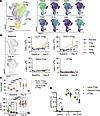 Preferential expansion of memory tTregs following IL-2 mutein treatment.