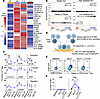 Increased expression of markers of Treg activation, function, and tissue-ho