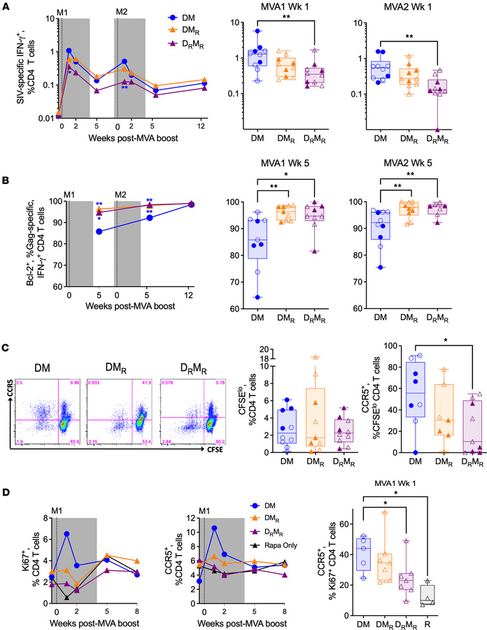 Rapamycin reduces expression of CCR5 on vaccine-specific CD4+ T cells.
(...