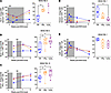 Rapamycin treatment enhances development of central memory phenotype with e