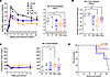 Better viral control and survival in rapamycin-treated macaques.