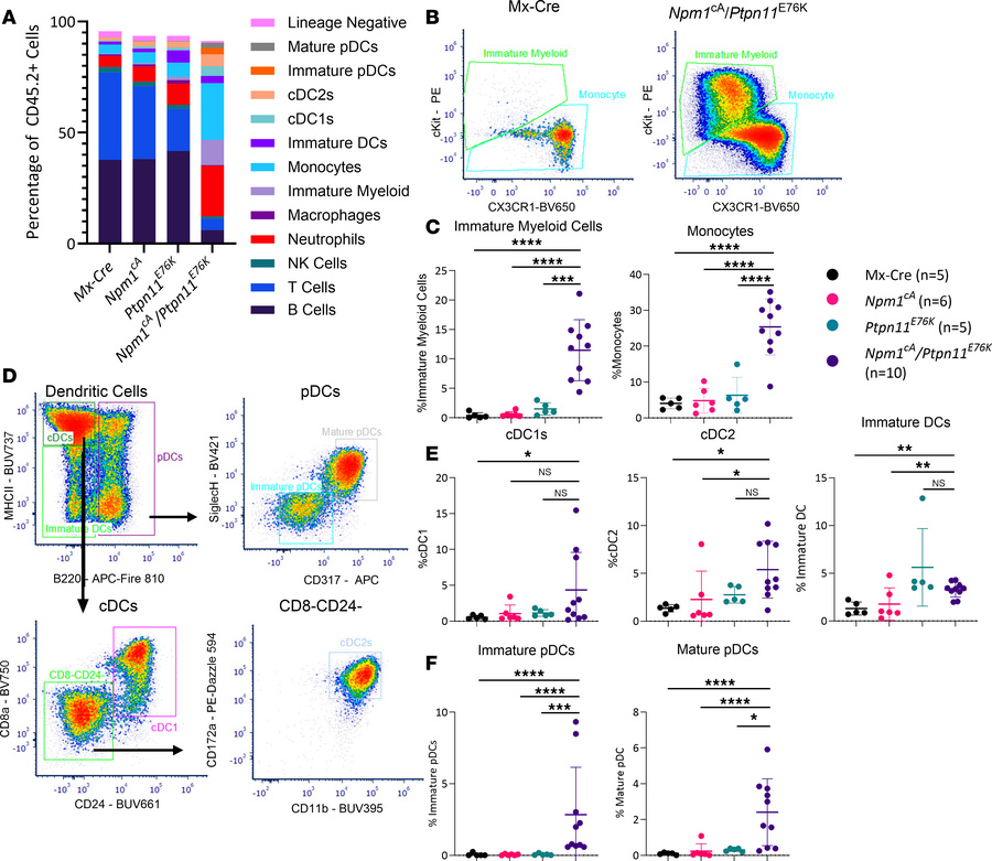 Immunophenotyping of Npm1cA/Ptpn11E76K splenocytes.
Flow cytometric anal...