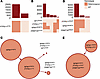 Clonal architecture of PTPN11-mutated AML patient samples.