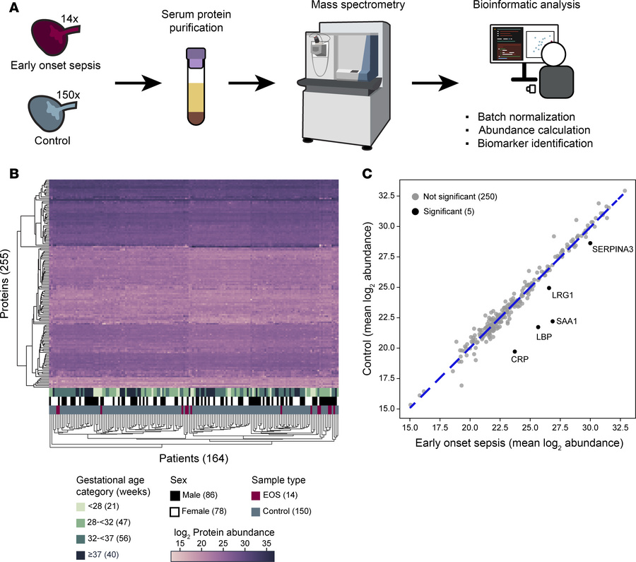 Proteomic identification of differentially abundant proteins in early-on...