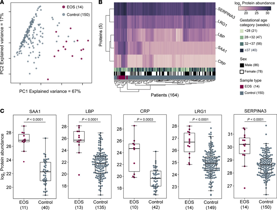 Details of differentially abundant proteins.
(A) PCA and (B) clustered h...