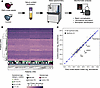 Proteomic identification of differentially abundant proteins in early-onset