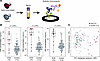 Quantitative multiplex immunoassay detection of potential EOS biomarkers.