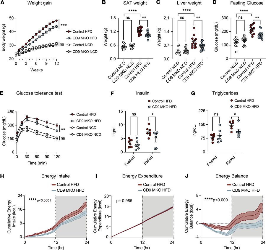 Myeloid-intrinsic CD9 contributes to obesity-associated metabolic dysfun...