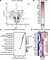 CD9+ adipose tissue macrophages have increased expression of extracellular