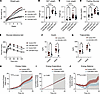 Myeloid-intrinsic CD9 contributes to obesity-associated metabolic dysfuncti