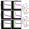 Administration of TM 2 or 24 hours after a cell-free hemoglobin challenge r