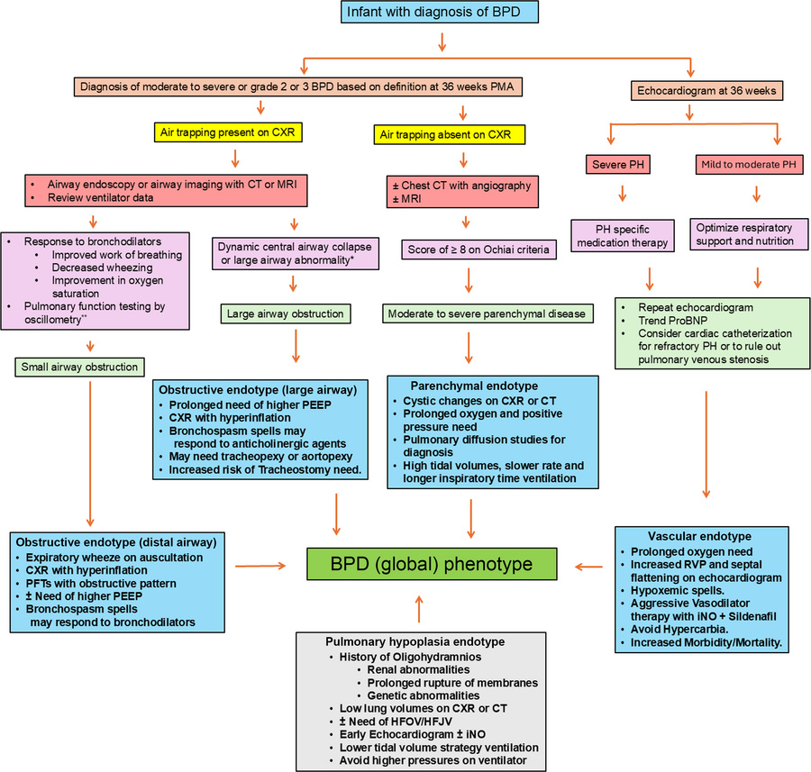 Clinical characteristics, diagnostic evaluation, and targeted treatment ...