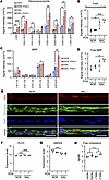 Increased hexosylceramide and bis-monoacylglycerophosphate levels in MAL iP