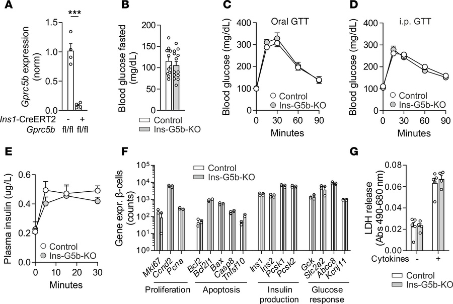 General characterization of tamoxifen-inducible, β cell–specific GPRC5B-...