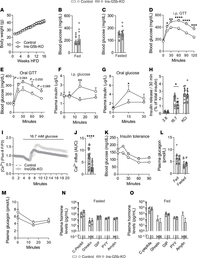 Metabolic profiling of Ins-G5b–KO mice after 16 weeks of HFD feeding.
(A...