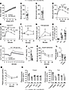 Metabolic profiling of Ins-G5b–KO mice after 16 weeks of HFD feeding.