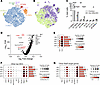 Single-cell transcriptome characterization of pancreatic islets from obese