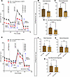 Omitting or extending BMP7 treatment decreased both basal and drug-stimulat