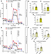 BMP7 treatment increased basal and stimulated cellular bioenergetics in hWA