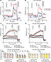 BMP4 treatment for 30 days affected cellular bioenergetics in hBAs and hWAs