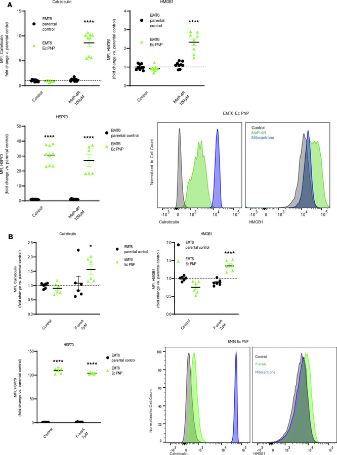 Nucleoside prodrug treatment of E. coli PNP–expressing EMT6 cells elicit...