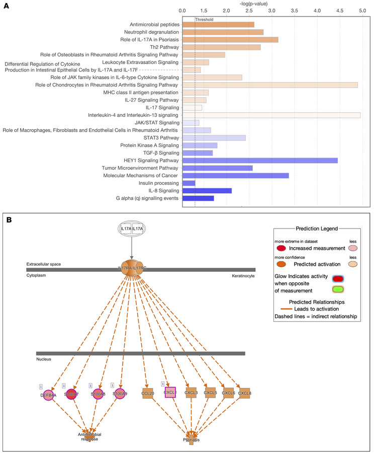 Primary pathways activated or suppressed in psoriatic CAT.
(A) The top u...