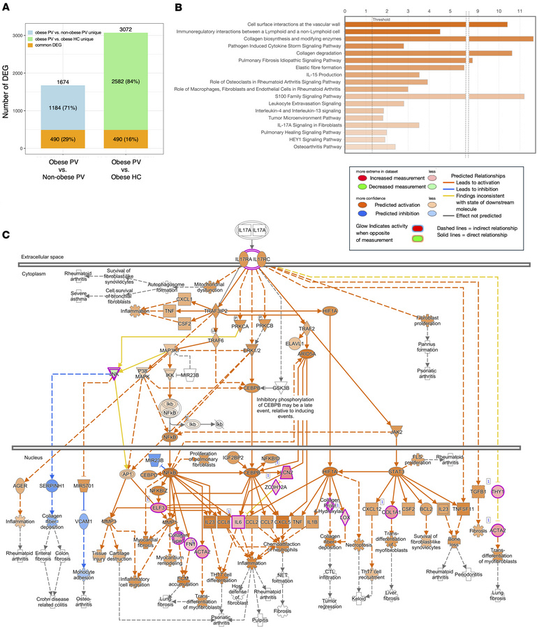 Differential gene expression and activated pathways in obese psoriatic C...
