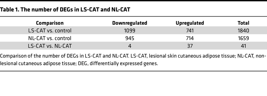 The number of DEGs in LS-CAT and NL-CAT