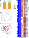 Gene expression differences in LS-CAT and NL-CAT compared with the normal c