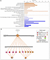 Primary pathways activated or suppressed in psoriatic CAT.