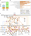 Differential gene expression and activated pathways in obese psoriatic CAT.