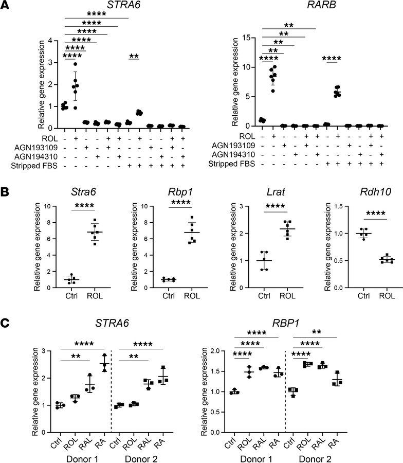 Retinol metabolism genes are regulated by retinoids in cultured fibrobla...