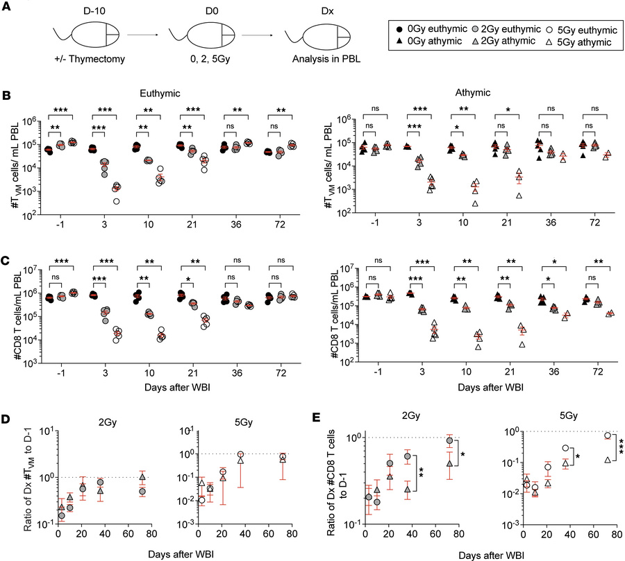 Repopulation of the virtual memory subset can occur in the absence of th...