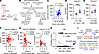 Hepatic CEACAM1 mRNA expression is associated with ELAVL1 mRNA levels in hu