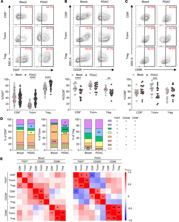 TIGIT, CD226, and CD96 are expressed by tumor-infiltrating T cells.
(A) ...