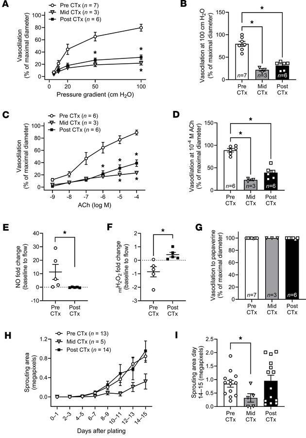 CTx induces microvascular dysfunction and suppresses angiogenic potentia...