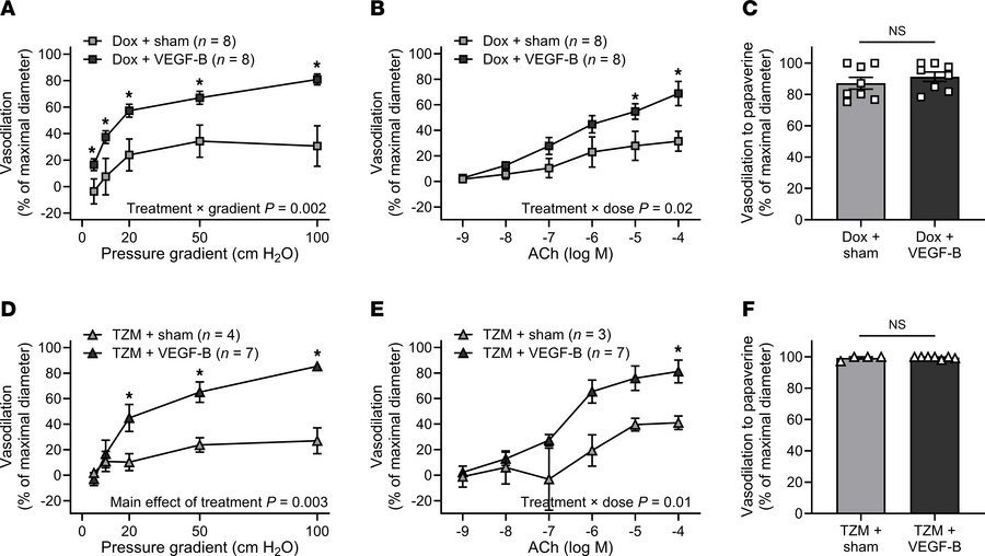 VEGF-B treatment prevents doxorubicin- and trastuzumab-induced microvasc...