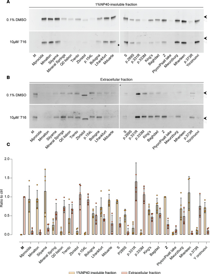 Characterization of AAT mutants and assessment of resistance to the poly...