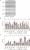 Dose-response treatment of resistant AAT variants with ‘716.