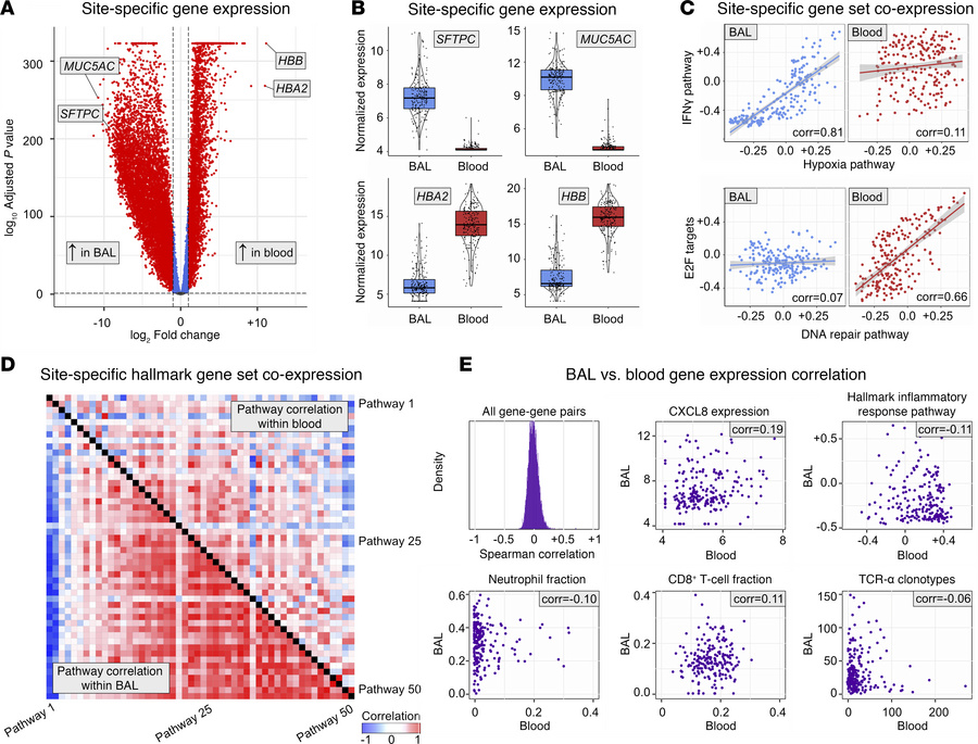 Differential gene expression and coexpression in BAL and paired blood sa...