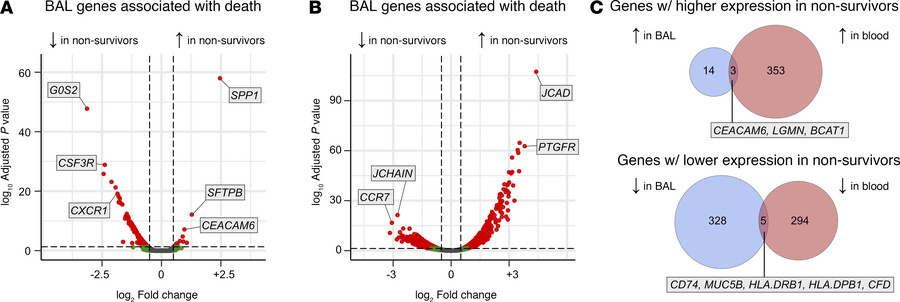 Differential gene expression by survival status.
(A) BAL gene expression...