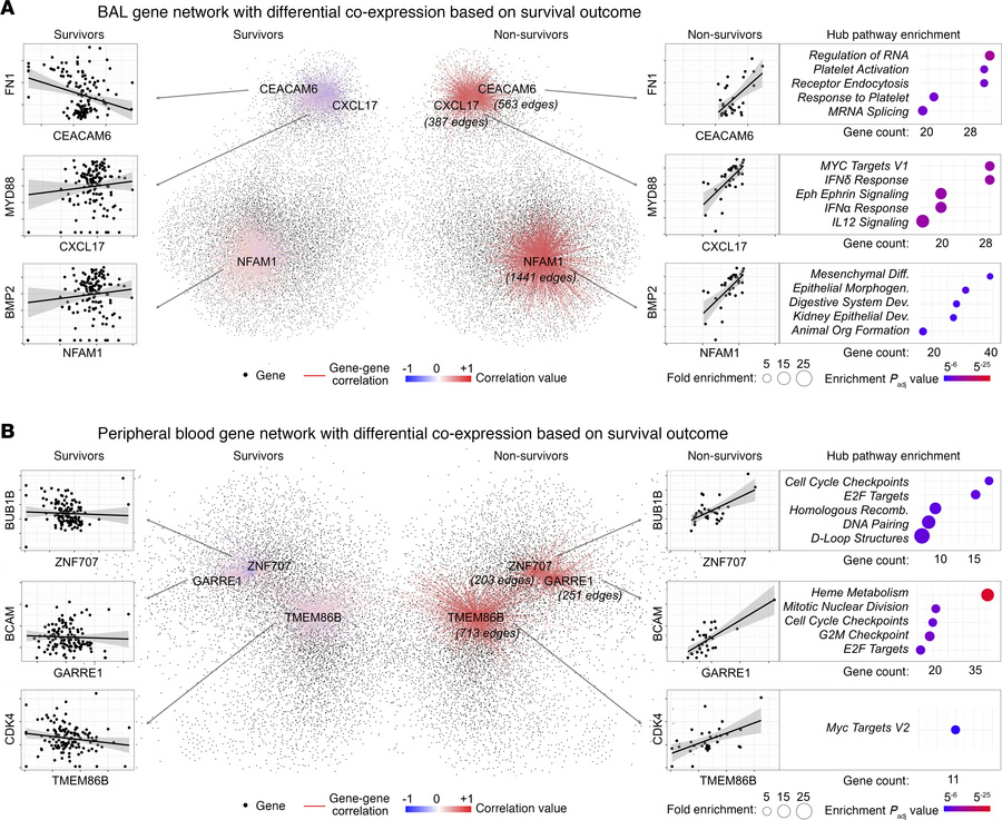 Differential gene coexpression by survival status.
(A) Network of genes ...