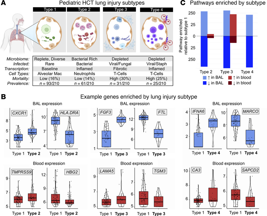 BAL and peripheral blood transcriptome correlates of post-HCT lung injur...