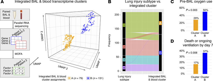 Integrated BAL and blood transcriptomic signatures reveal 2 large patien...