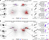 Differential gene coexpression by survival status.