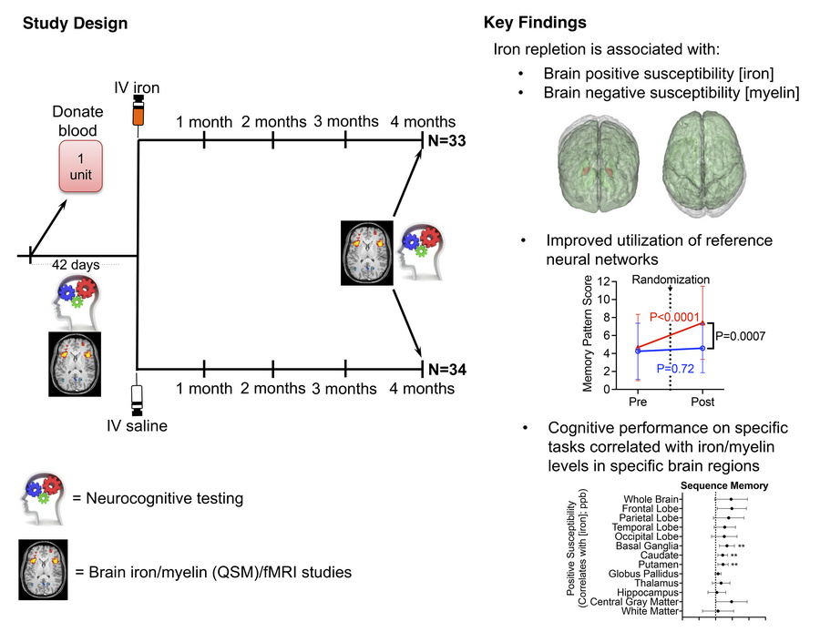 graphical abstract