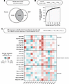 Human-derived principal components associate with BCG-specific immune respo