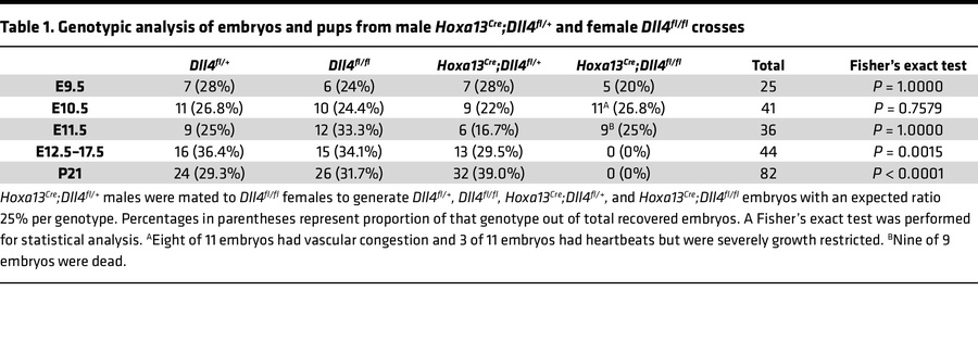Genotypic analysis of embryos and pups from male Hoxa13Cre;Dll4fl/+ and ...