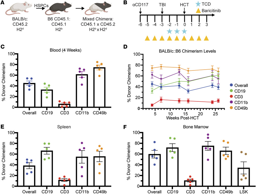 Nonmyeloablative conditioning with baricitinib and 75 cGy TBI permits du...