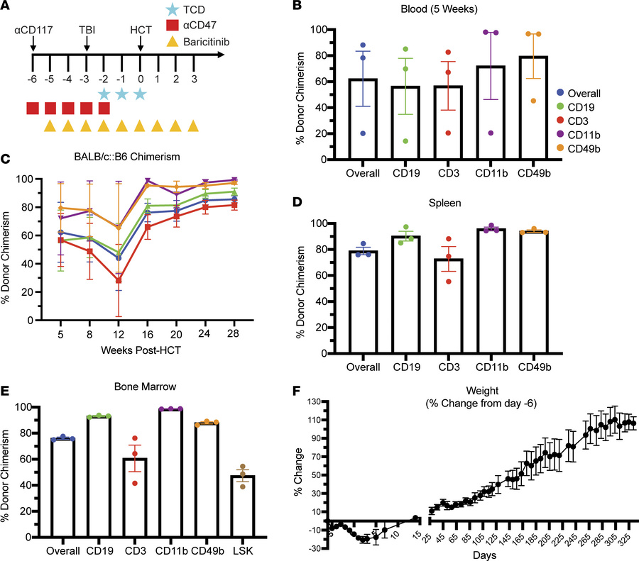 αCD47 monoclonal antibody conditioning promotes durable mixed hematopoie...